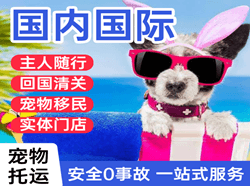 张掖甘州航空快运国际宠物托运 【国